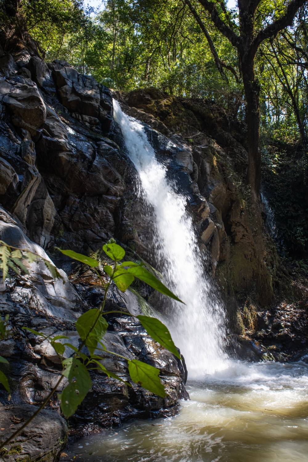 Cascada natural en Tierra Nueva