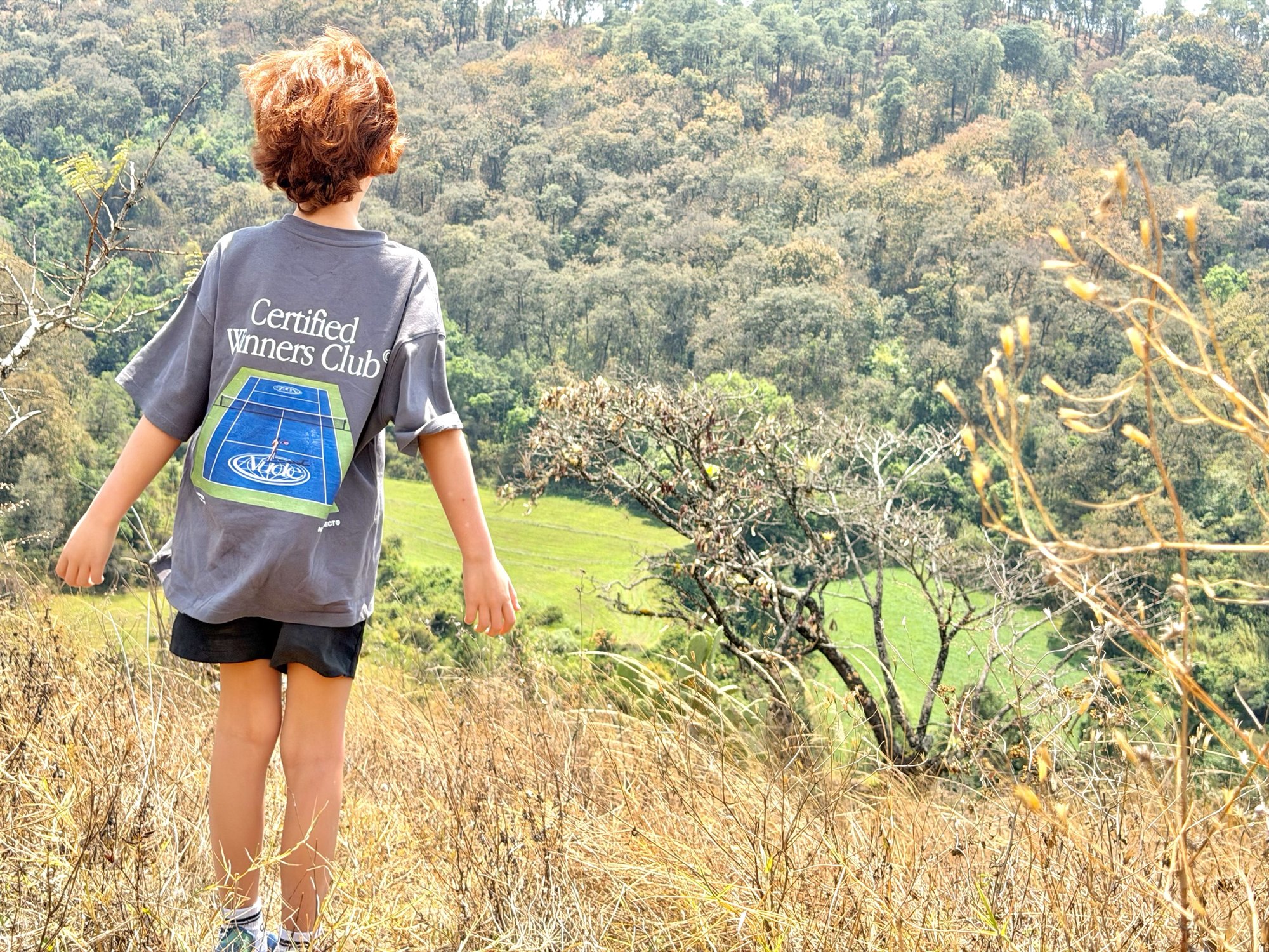 Valle de montaña en Temascaltepec con campos y bosque nativo